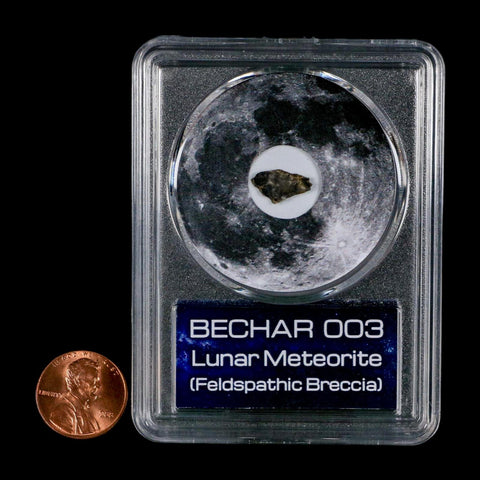 Moon Rock Lunar Meteorite Bechar 003 Algerian Sahara Desert Discovered 2022 COA