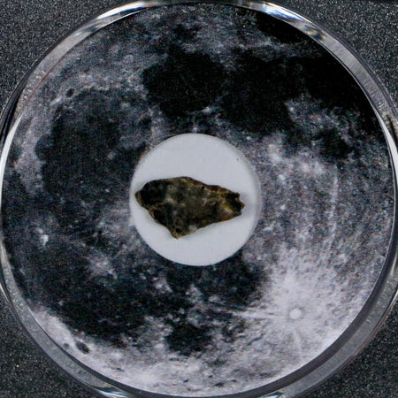 Moon Rock Lunar Meteorite Bechar 003 Algerian Sahara Desert Discovered 2022 COA