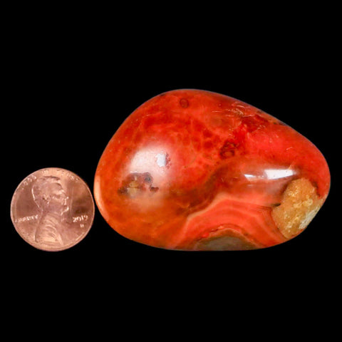 2" Polished Yellow Orange Silk Banded Agate Chalcedony Mineral Palm Stone - Fossil Age Minerals