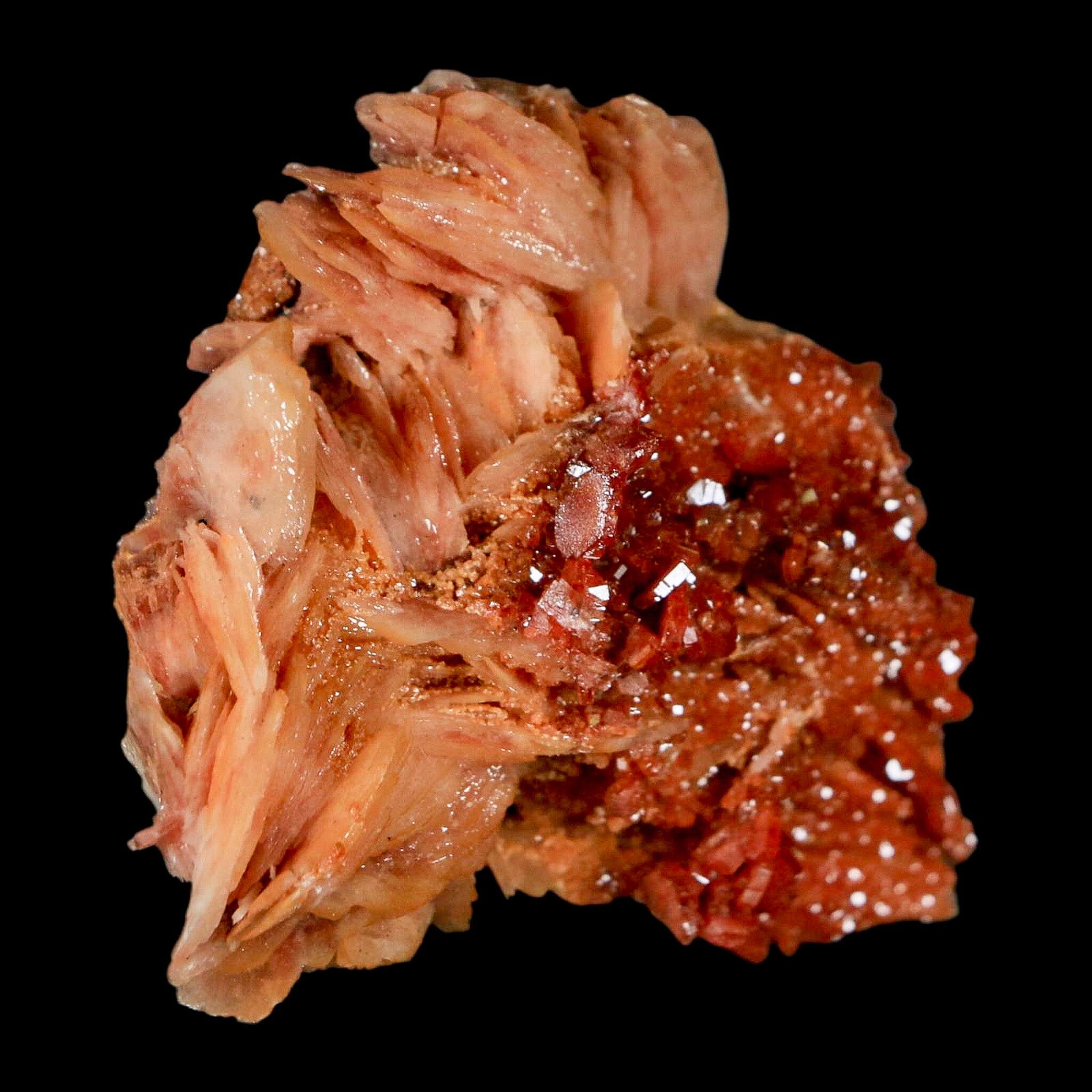2.5" Sparkly Red Vanadinite Crystals on White Barite Blades Mineral Mabladen Morocco - Fossil Age Minerals