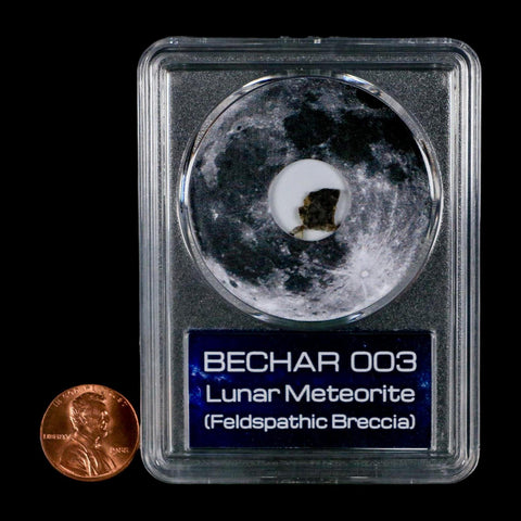 Moon Rock Lunar Meteorite Bechar 003 Algerian Sahara Desert Discovered 2022 COA