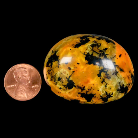1.8" Polished Yellow Orange Silk Banded Agate Chalcedony Mineral Palm Stone - Fossil Age Minerals