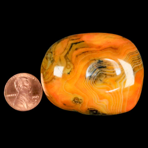 2" Polished Yellow Orange Silk Banded Agate Chalcedony Mineral Palm Stone - Fossil Age Minerals