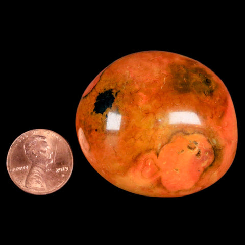 1.8" Polished Yellow Orange Silk Banded Agate Chalcedony Mineral Palm Stone - Fossil Age Minerals