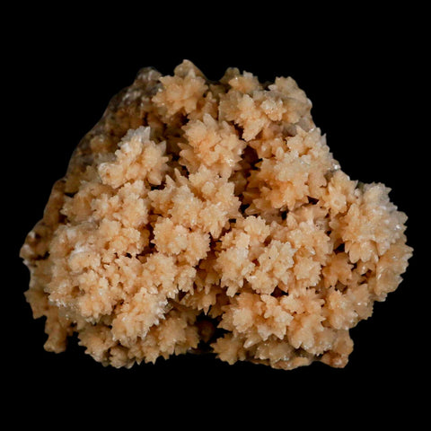 3.7" Botryoidal Aragonite Cave Calcite Crystal Cluster Mineral Specimen Morocco - Fossil Age Minerals