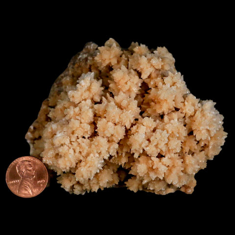 3.7" Botryoidal Aragonite Cave Calcite Crystal Cluster Mineral Specimen Morocco - Fossil Age Minerals