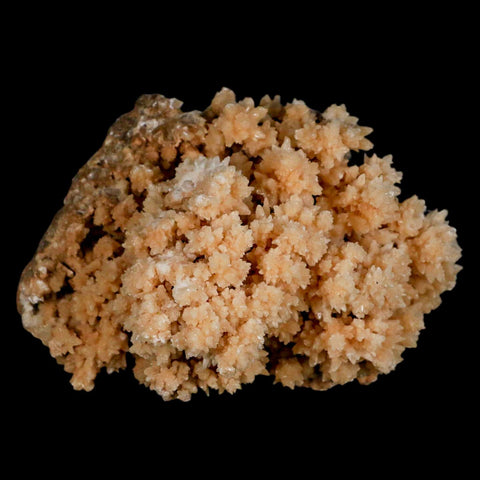 3.7" Botryoidal Aragonite Cave Calcite Crystal Cluster Mineral Specimen Morocco - Fossil Age Minerals