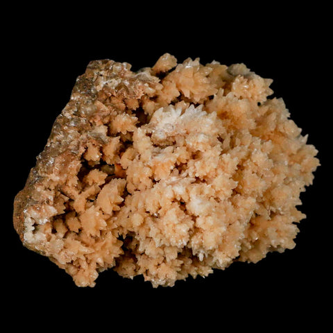 3.7" Botryoidal Aragonite Cave Calcite Crystal Cluster Mineral Specimen Morocco - Fossil Age Minerals