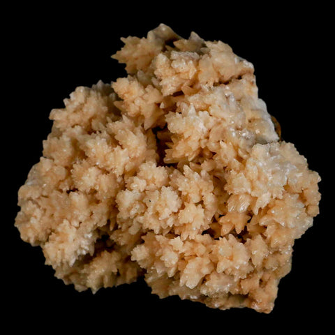 3.7" Botryoidal Aragonite Cave Calcite Crystal Cluster Mineral Specimen Morocco - Fossil Age Minerals
