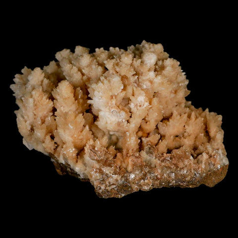 3.7" Botryoidal Aragonite Cave Calcite Crystal Cluster Mineral Specimen Morocco - Fossil Age Minerals