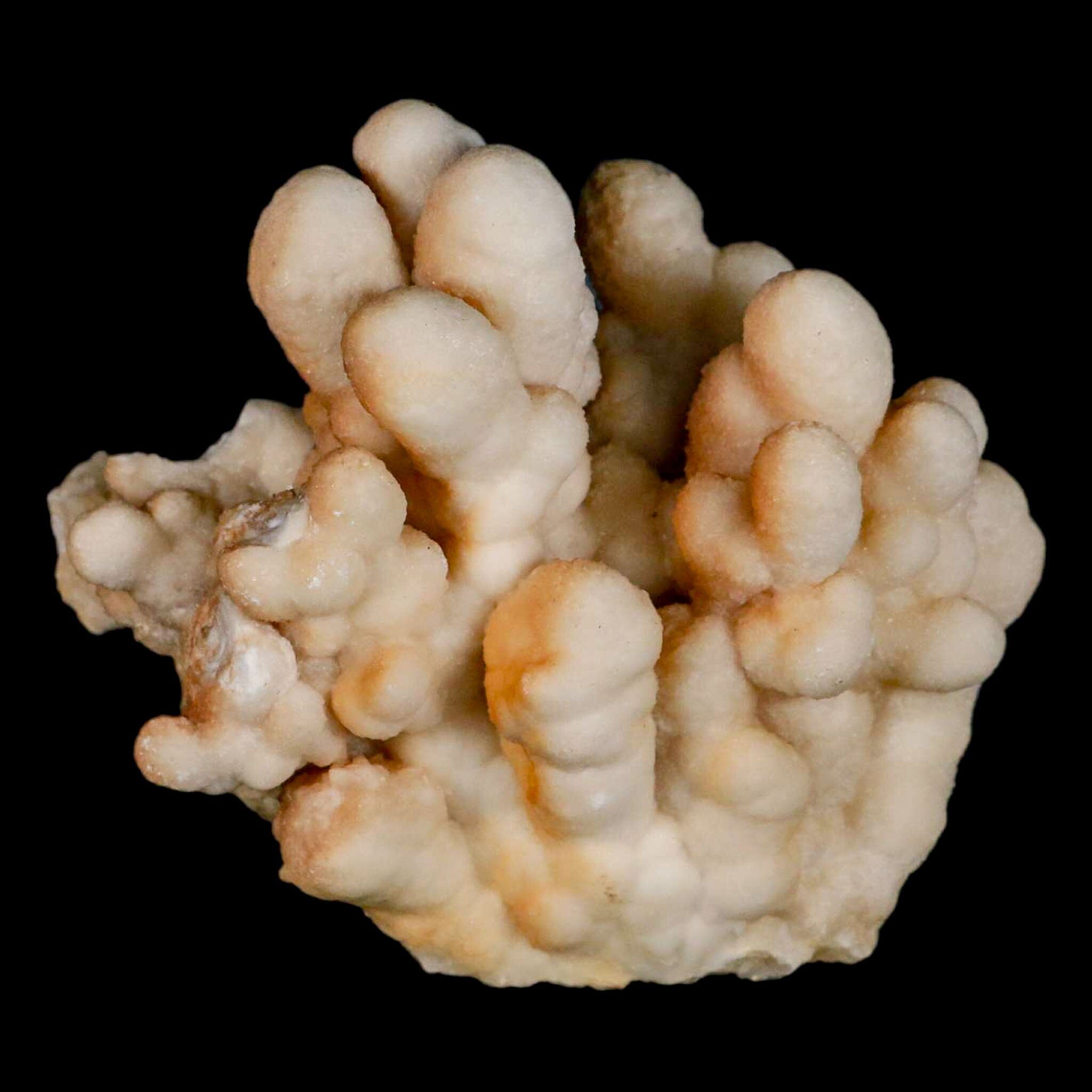 4.1" Botryoidal Aragonite Cave Calcite Crystal Cluster Mineral Specimen Morocco - Fossil Age Minerals