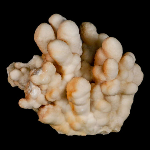 4.1" Botryoidal Aragonite Cave Calcite Crystal Cluster Mineral Specimen Morocco - Fossil Age Minerals