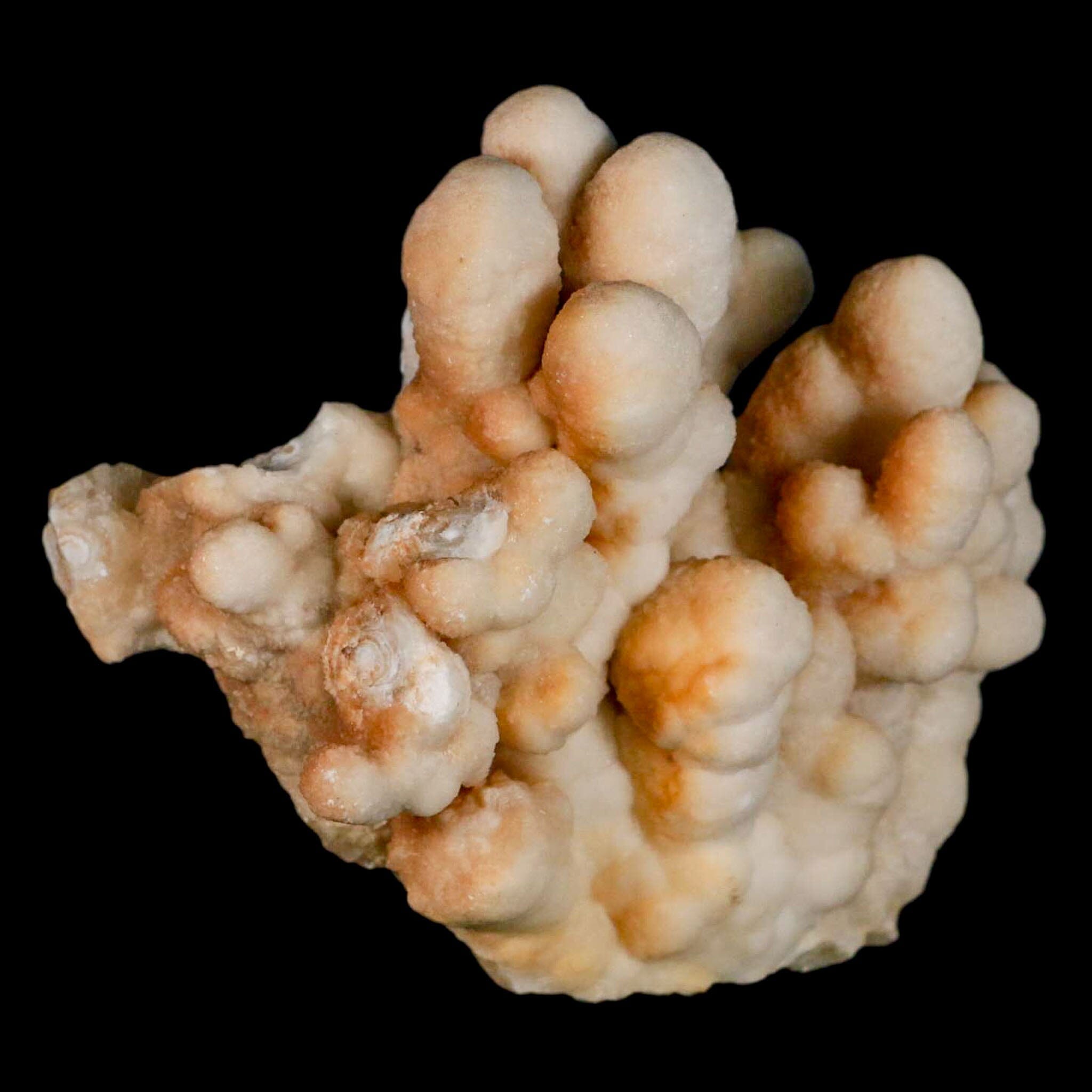 4.1" Botryoidal Aragonite Cave Calcite Crystal Cluster Mineral Specimen Morocco - Fossil Age Minerals