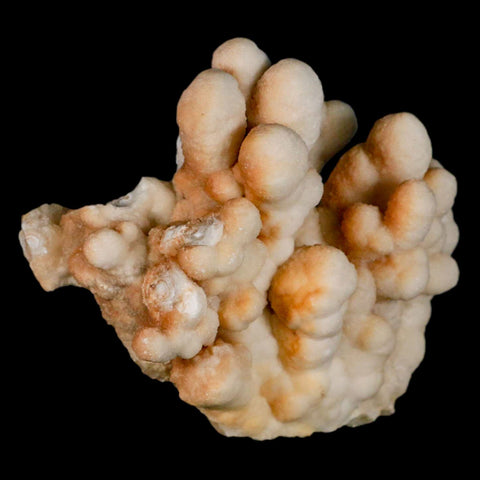 4.1" Botryoidal Aragonite Cave Calcite Crystal Cluster Mineral Specimen Morocco - Fossil Age Minerals