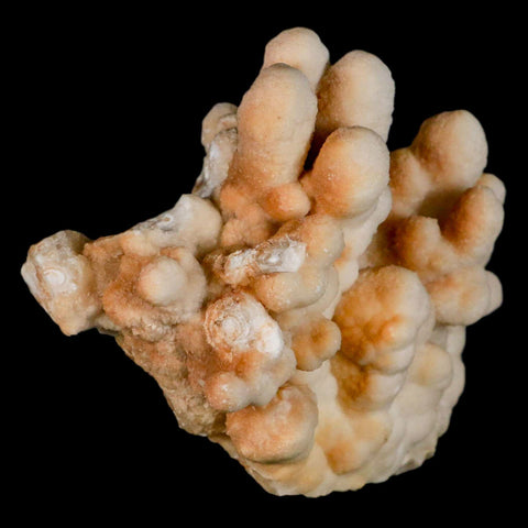 4.1" Botryoidal Aragonite Cave Calcite Crystal Cluster Mineral Specimen Morocco - Fossil Age Minerals