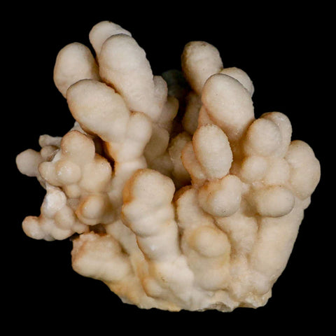 4.1" Botryoidal Aragonite Cave Calcite Crystal Cluster Mineral Specimen Morocco - Fossil Age Minerals