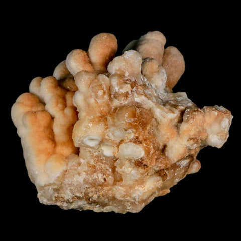 4.1" Botryoidal Aragonite Cave Calcite Crystal Cluster Mineral Specimen Morocco - Fossil Age Minerals