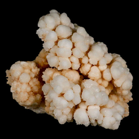 3.1" Botryoidal Aragonite Cave Calcite Crystal Cluster Mineral Specimen Morocco - Fossil Age Minerals