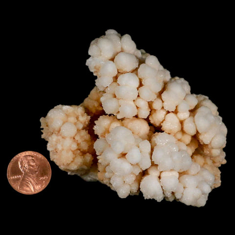 3.1" Botryoidal Aragonite Cave Calcite Crystal Cluster Mineral Specimen Morocco - Fossil Age Minerals