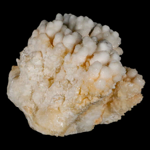 3.1" Botryoidal Aragonite Cave Calcite Crystal Cluster Mineral Specimen Morocco - Fossil Age Minerals