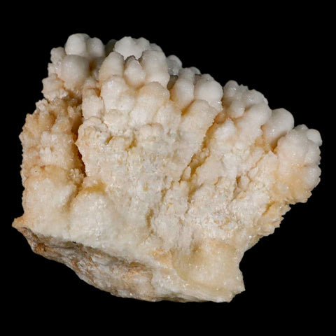 3.1" Botryoidal Aragonite Cave Calcite Crystal Cluster Mineral Specimen Morocco - Fossil Age Minerals