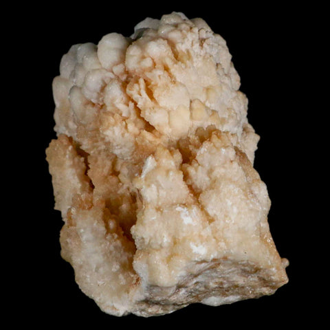 4.7" Botryoidal Aragonite Cave Calcite Crystal Cluster Mineral Specimen Morocco - Fossil Age Minerals