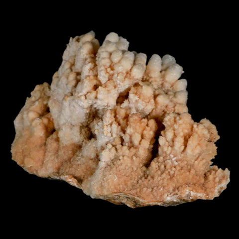 4.7" Botryoidal Aragonite Cave Calcite Crystal Cluster Mineral Specimen Morocco - Fossil Age Minerals