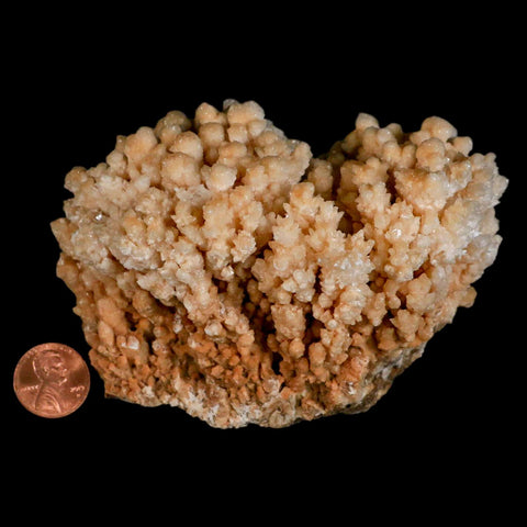 4.3" Botryoidal Aragonite Cave Calcite Crystal Cluster Mineral Specimen Morocco - Fossil Age Minerals