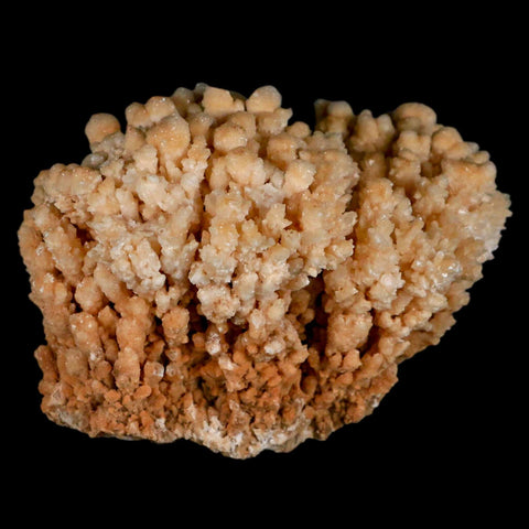 4.3" Botryoidal Aragonite Cave Calcite Crystal Cluster Mineral Specimen Morocco - Fossil Age Minerals