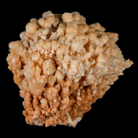 4.3" Botryoidal Aragonite Cave Calcite Crystal Cluster Mineral Specimen Morocco - Fossil Age Minerals