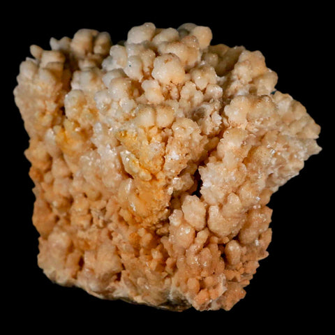 4.3" Botryoidal Aragonite Cave Calcite Crystal Cluster Mineral Specimen Morocco - Fossil Age Minerals