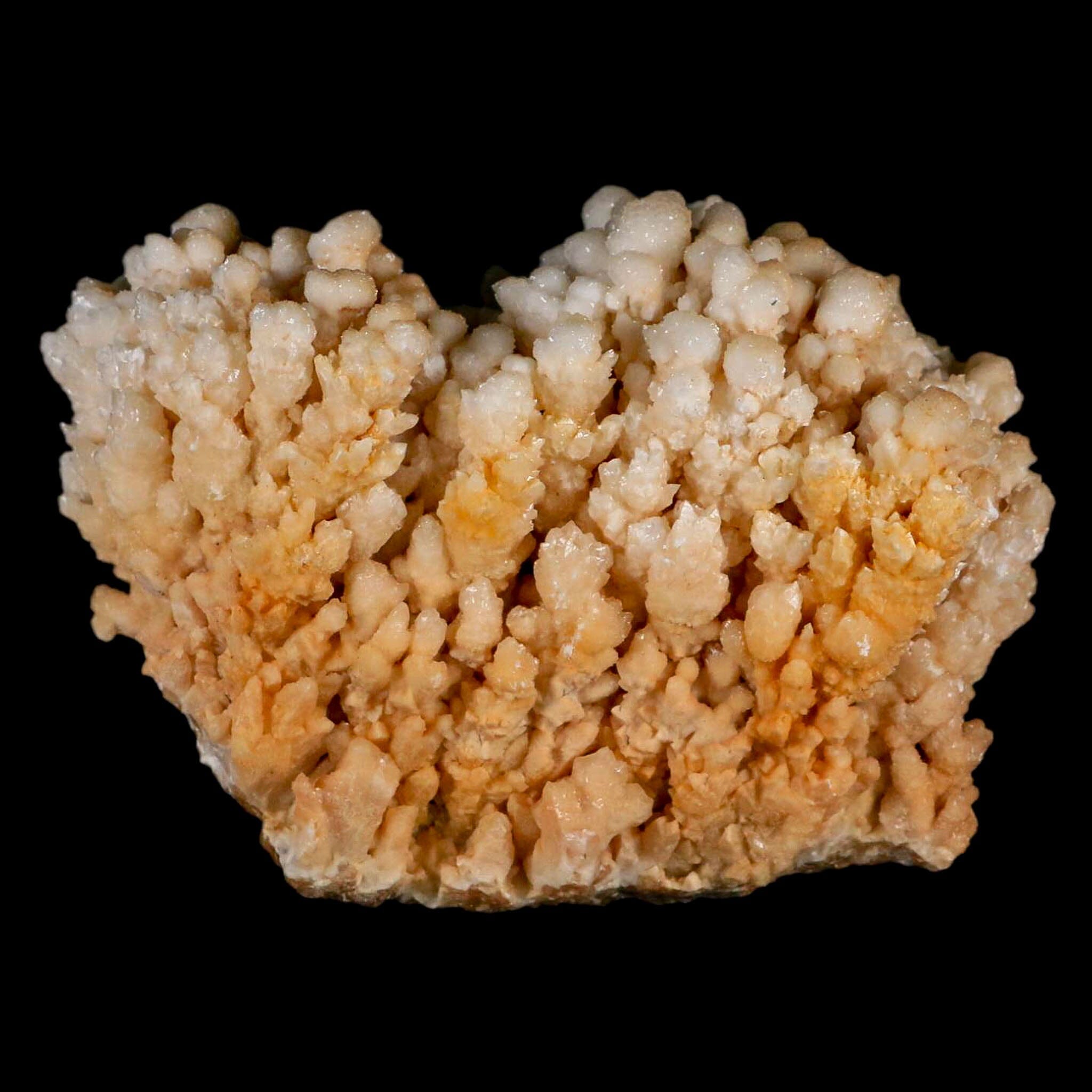 4.3" Botryoidal Aragonite Cave Calcite Crystal Cluster Mineral Specimen Morocco - Fossil Age Minerals