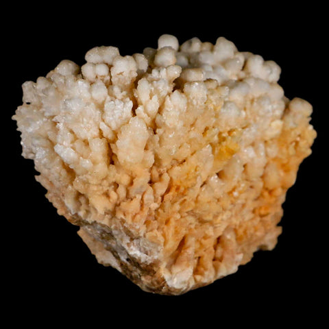 4.3" Botryoidal Aragonite Cave Calcite Crystal Cluster Mineral Specimen Morocco - Fossil Age Minerals