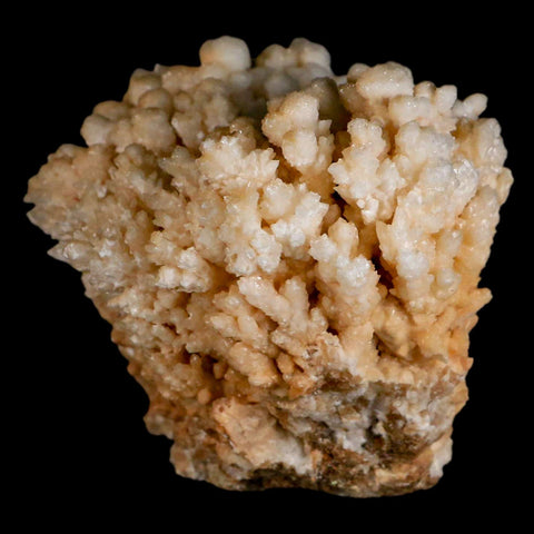 4.3" Botryoidal Aragonite Cave Calcite Crystal Cluster Mineral Specimen Morocco - Fossil Age Minerals