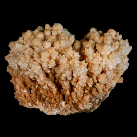 4.3" Botryoidal Aragonite Cave Calcite Crystal Cluster Mineral Specimen Morocco - Fossil Age Minerals