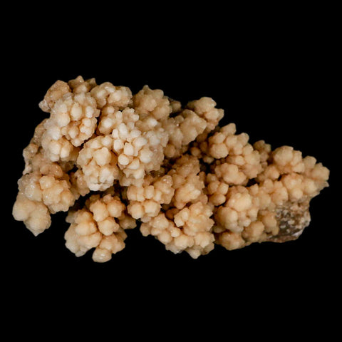 5.7" Botryoidal Aragonite Cave Calcite Crystal Cluster Mineral Specimen Morocco - Fossil Age Minerals