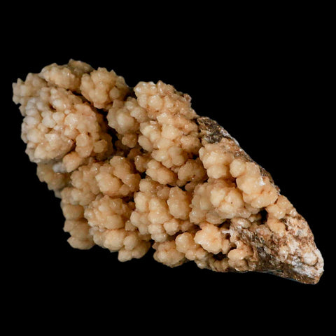 5.7" Botryoidal Aragonite Cave Calcite Crystal Cluster Mineral Specimen Morocco - Fossil Age Minerals