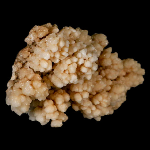 5.7" Botryoidal Aragonite Cave Calcite Crystal Cluster Mineral Specimen Morocco - Fossil Age Minerals