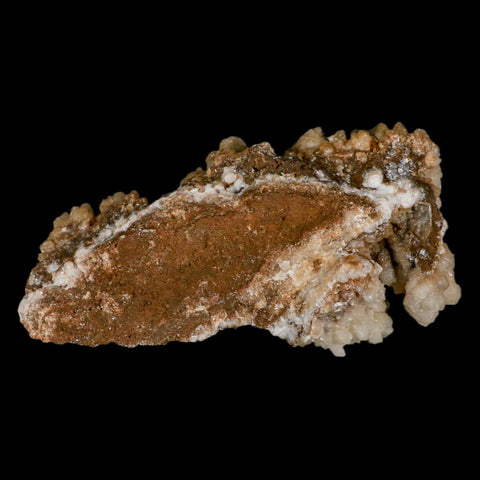 5.7" Botryoidal Aragonite Cave Calcite Crystal Cluster Mineral Specimen Morocco - Fossil Age Minerals