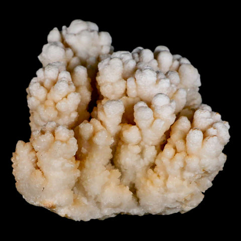 4" Botryoidal Aragonite Cave Calcite Crystal Cluster Mineral Specimen Morocco - Fossil Age Minerals