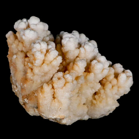 4" Botryoidal Aragonite Cave Calcite Crystal Cluster Mineral Specimen Morocco - Fossil Age Minerals