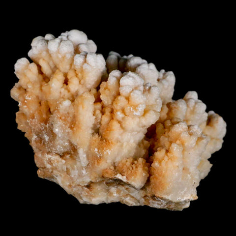 4" Botryoidal Aragonite Cave Calcite Crystal Cluster Mineral Specimen Morocco - Fossil Age Minerals