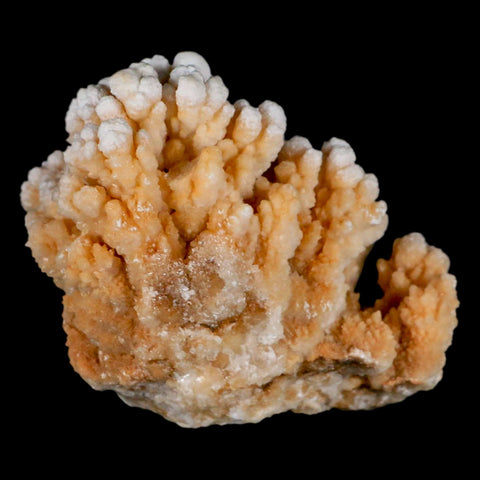 4" Botryoidal Aragonite Cave Calcite Crystal Cluster Mineral Specimen Morocco - Fossil Age Minerals