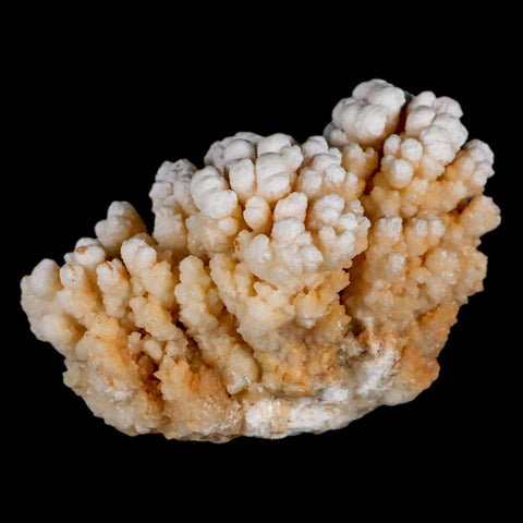 4" Botryoidal Aragonite Cave Calcite Crystal Cluster Mineral Specimen Morocco - Fossil Age Minerals