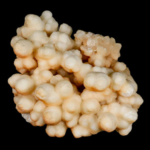 3.9" Botryoidal Aragonite Cave Calcite Crystal Cluster Mineral Specimen Morocco - Fossil Age Minerals