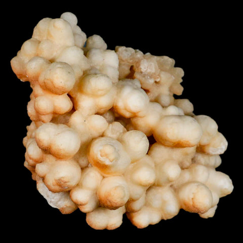 3.9" Botryoidal Aragonite Cave Calcite Crystal Cluster Mineral Specimen Morocco - Fossil Age Minerals