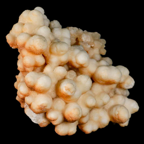 3.9" Botryoidal Aragonite Cave Calcite Crystal Cluster Mineral Specimen Morocco - Fossil Age Minerals