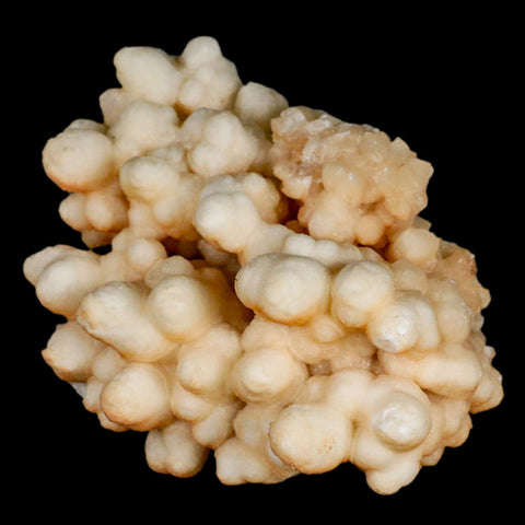 3.9" Botryoidal Aragonite Cave Calcite Crystal Cluster Mineral Specimen Morocco - Fossil Age Minerals