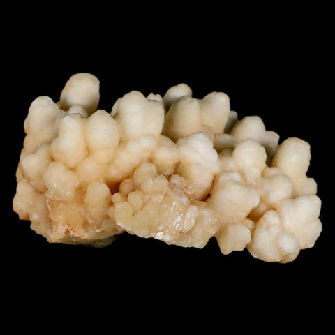 3.9" Botryoidal Aragonite Cave Calcite Crystal Cluster Mineral Specimen Morocco - Fossil Age Minerals