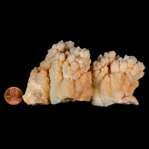 4.2" Botryoidal Aragonite Cave Calcite Crystal Cluster Mineral Specimen Morocco - Fossil Age Minerals